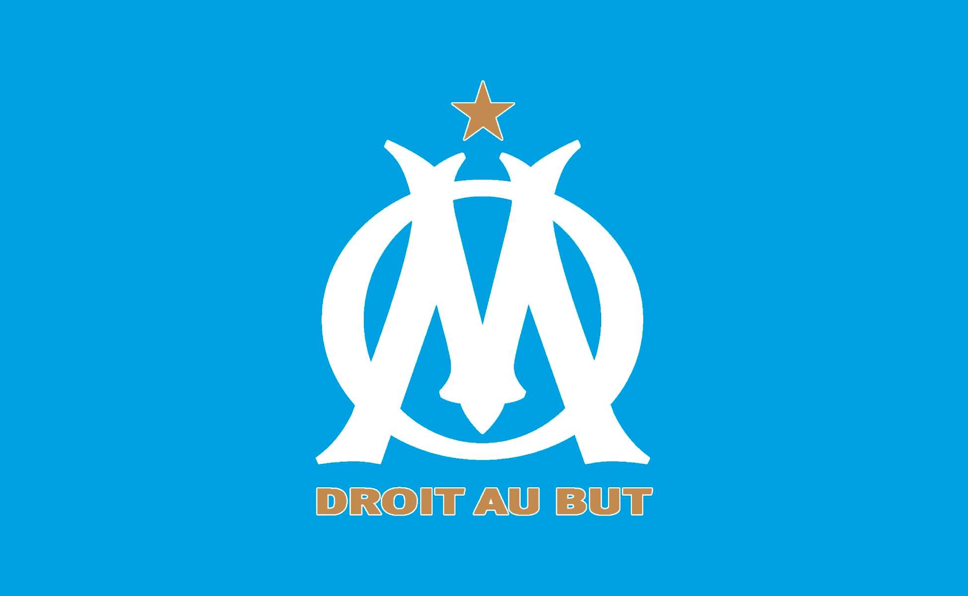 Olympique de Marseille Recruitment System project thumbnail